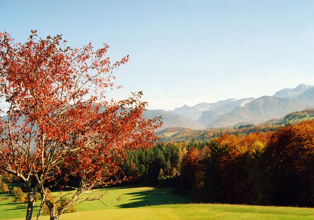 Herbst in der Golf & Seen Region