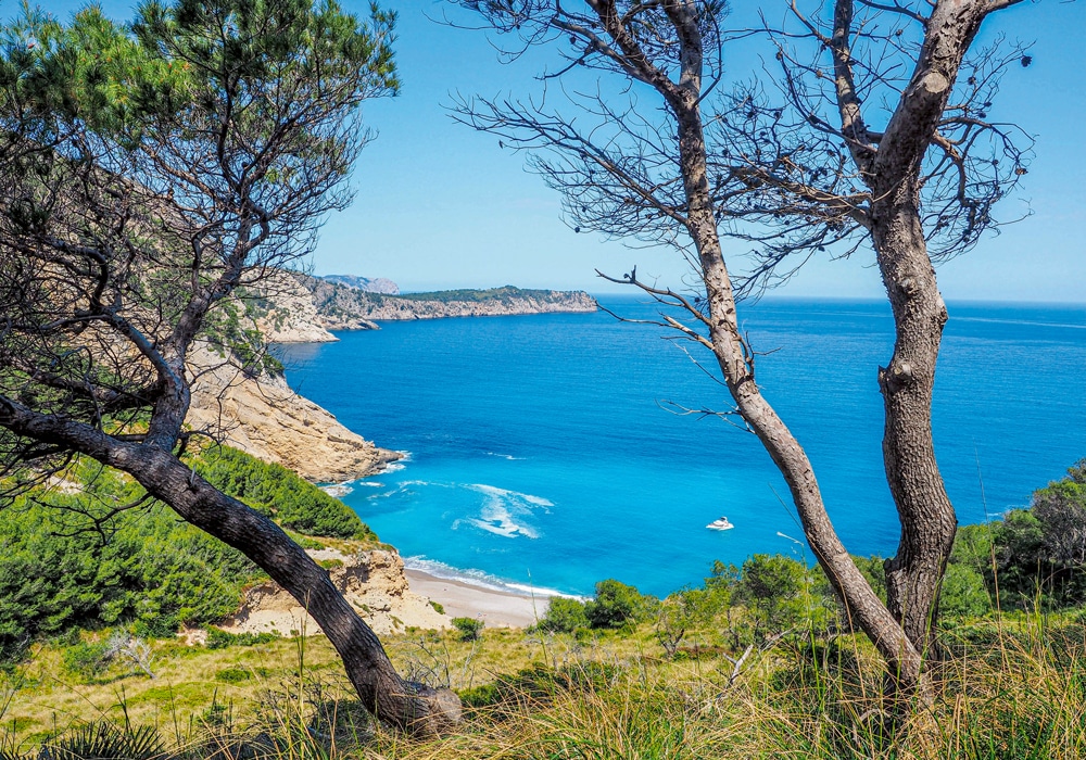Die Küste Mallorcas