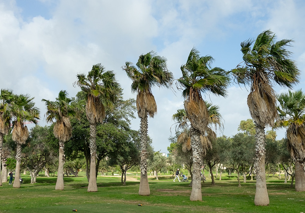 Malta Golfplatz
