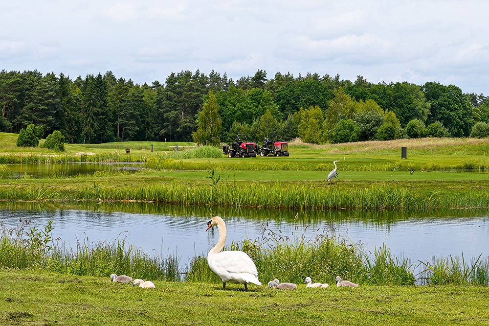 GreenEagle Natur Pur