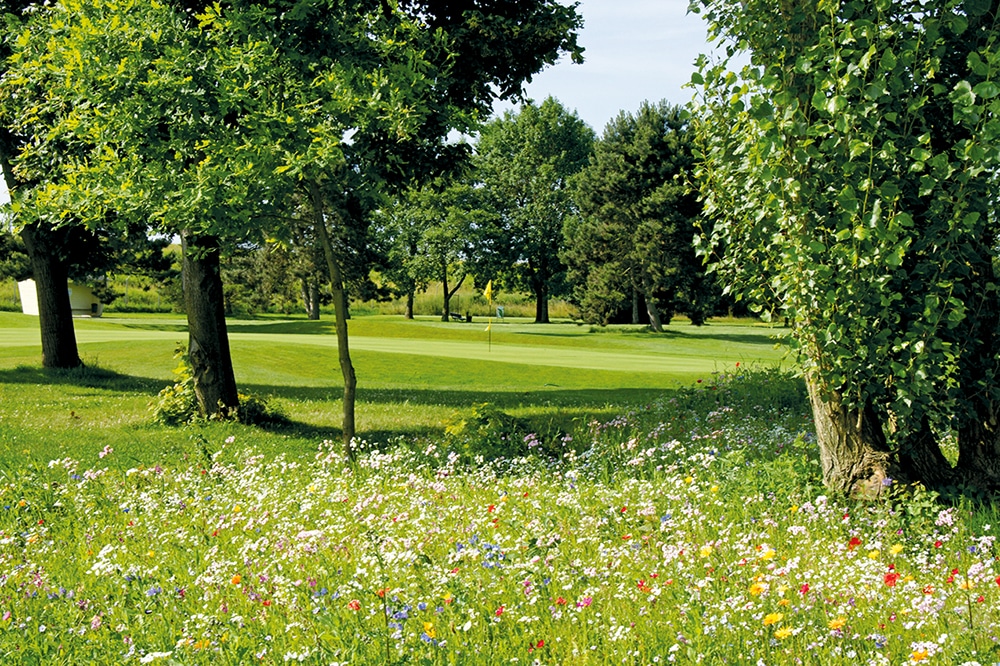 Baden Hills Golf & Curling Club